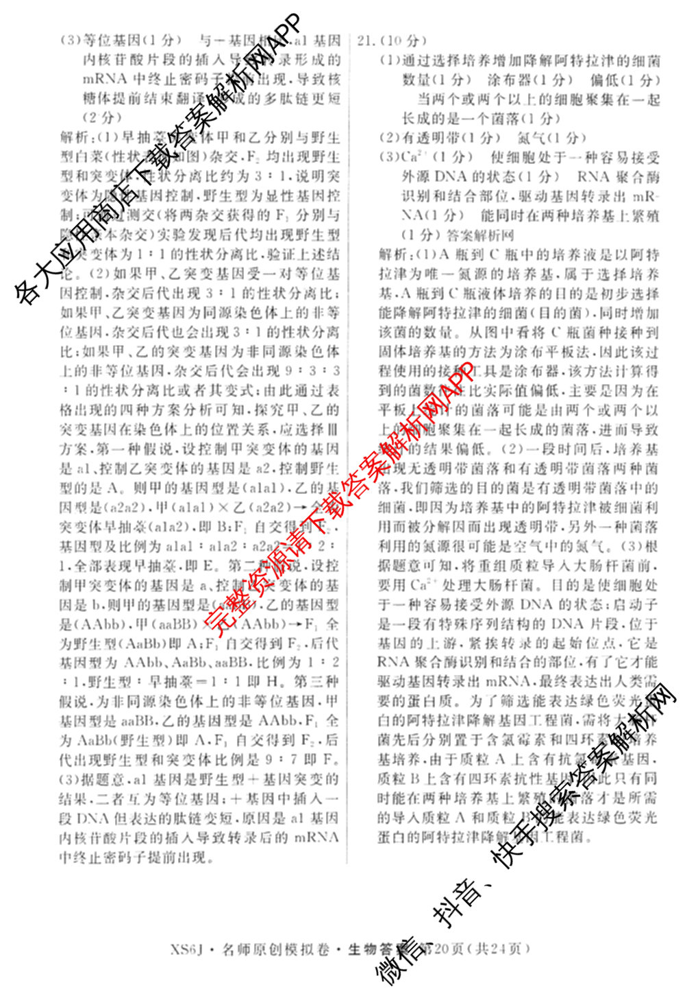 2026届高三总复名师原创模拟(十一)11试卷及答案汇总（含历史(XS6J) 历史(CQX6) 生物(HN6)等）生物答案