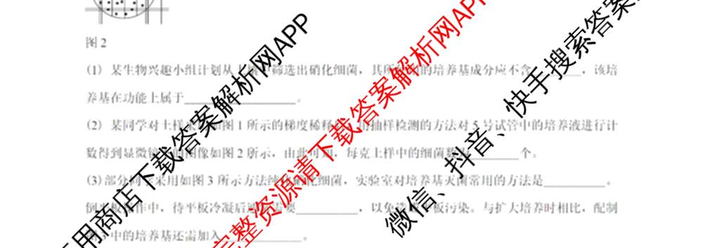 广东省清远一中2025-2026学年度10月期中考试(含政治 化学 地理等9份)生物试题 广东省清远一中2025-2026学年度10月期中考试(含政治 化学 地理等9份)生物试题