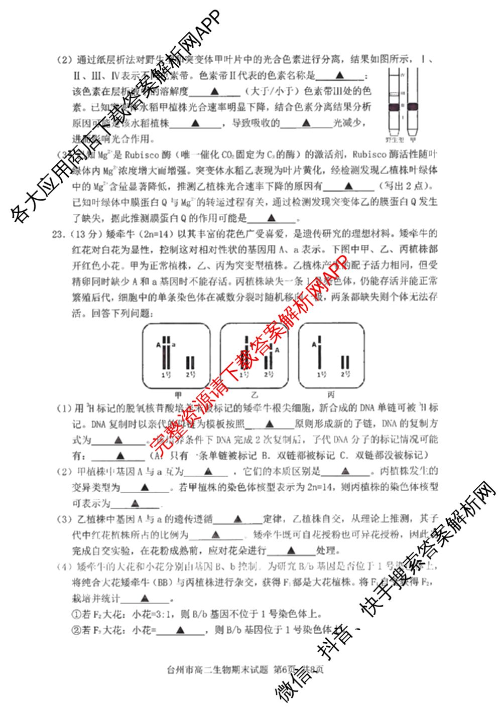 台州市2024学年第一学期高二年级期末质量评估: 含政治 技术 数学试卷解析生物试题