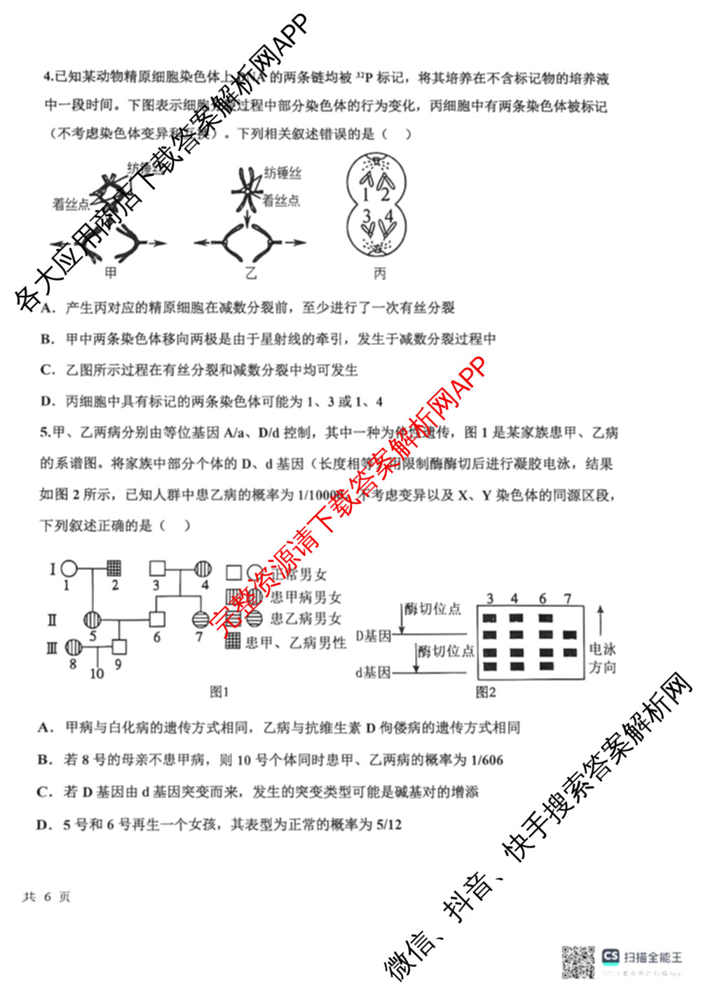 河北省2025-2026学年度高三年级上学期综合素质评价四（9科全）生物试题