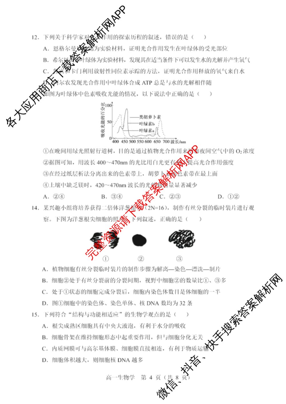 辽宁省重点高中沈阳市郊联体2024-2025学年度上学期高一年级期末考试各科答案及试卷: 含历史、地理、生物试卷解析生物试题