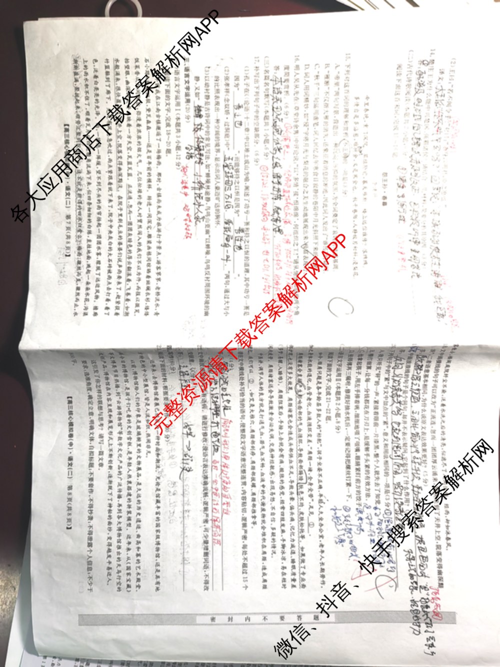 九师联盟2024~2025学年高三核心模拟卷(中)(二)2各科答案及试卷: 含政治(JX) 生物(D1) 生物(HB)试卷解析语文试题