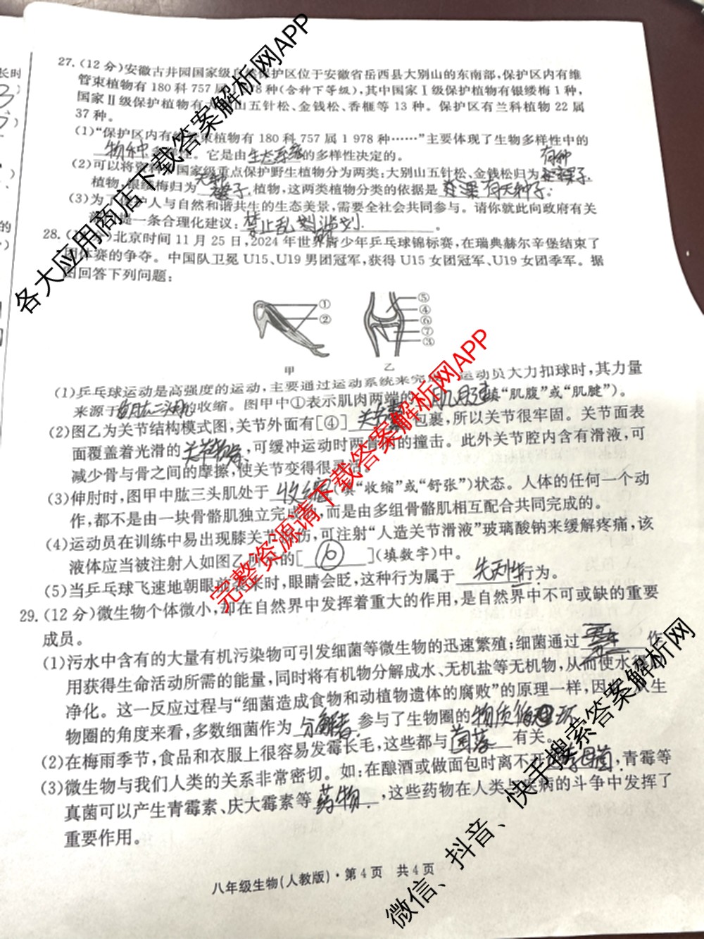 [页脚黑体八年级科目名称]安徽省2024-2025八年级1月无标题考试(江淮名卷)试卷及答案汇总(已更新历史 物理(沪科版) 英语(人教版)等18份)生物试题