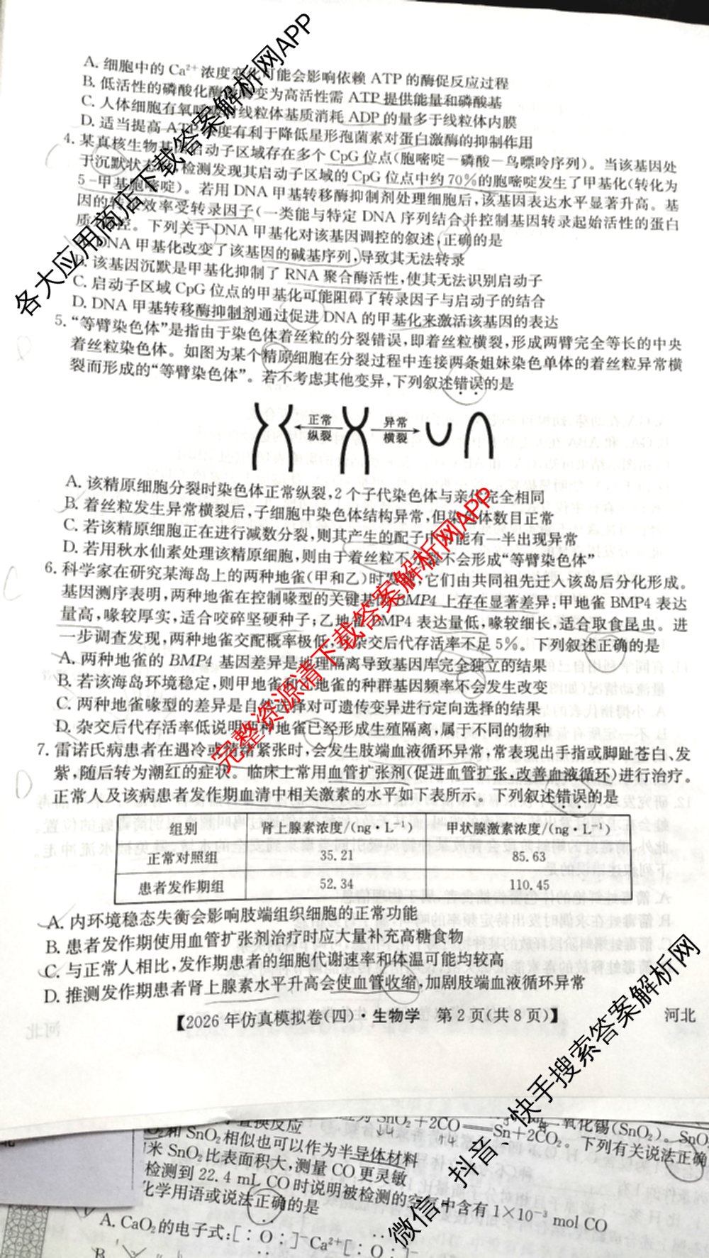 2026年全国高考仿真模拟卷(四)4试卷及答案汇总（含地理(E3) 数学 化学(E2)等35份）生物试题