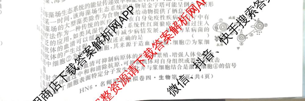 2026届高三总复名师原创模拟(四)4各科答案及试卷（39科全）生物试题