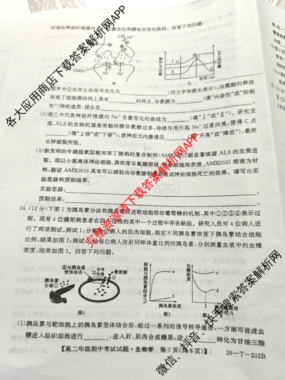 吉林省2025-2026高二年级上学期期中考试试题(26-T-202B)试卷及答案汇总: 含历史、地理、数学试卷解析生物试题