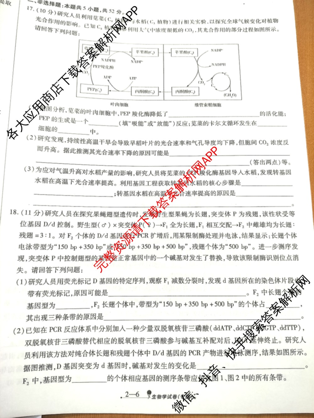 天一大联考2026届高考全真模拟卷(二)2试卷及答案汇总（含政治(湖南专版)、物理(山西专版)、生物(安徽专版)等）生物试题