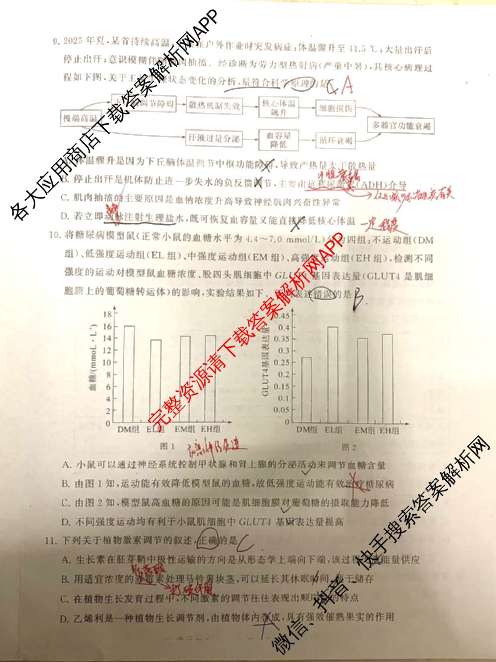 冲刺新高考2026届高考仿真模拟卷(T8)(三)3: 含化学、数学、地理(湖南专版)试卷解析生物试题