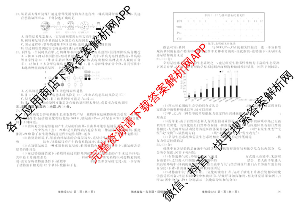 衡水金卷先享题调研卷2026年普通高等学校招生全国统一考试模拟试题(六)6（含地理(HN) 物理(HU) 物理(JS)等）生物试题