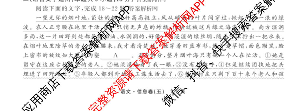 天舟高考衡中同卷2026年普通高等学校招生全国统一考试模拟信息卷(五)5(已更新化学(无字母)、数学(B)、物理(WY)等35份)语文试题