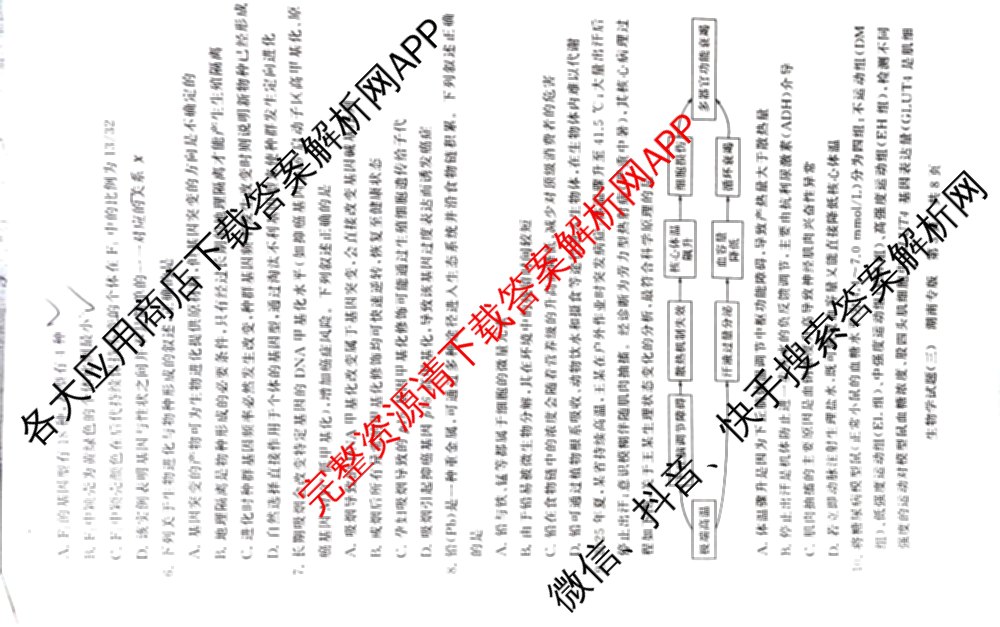 冲刺新高考2026届高考仿真模拟卷(T8)(三)3: 含化学、数学、地理(湖南专版)试卷解析生物试题