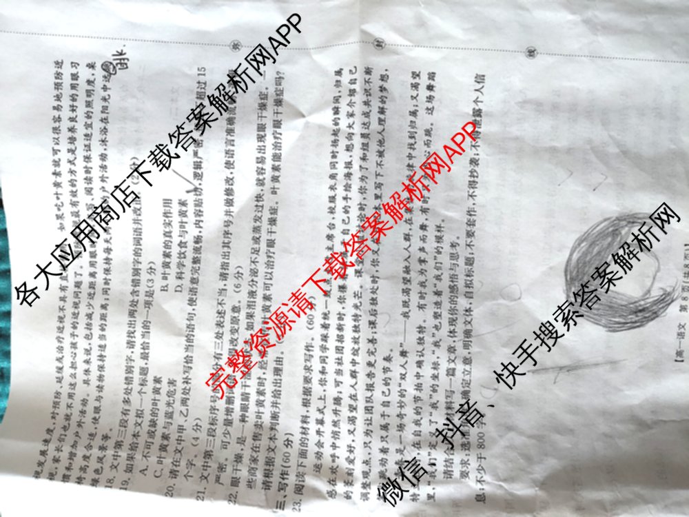 陕西省2025-2026学年高一年级考试(12.16)试卷及答案汇总（10科全）语文试题