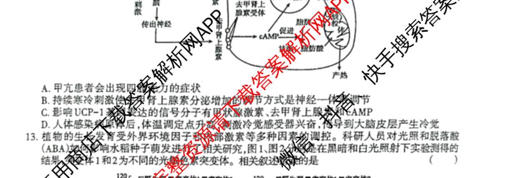2026年普通高等学校招生统一考试JY高三模拟卷(二)各科答案及试卷（14科全）生物试题