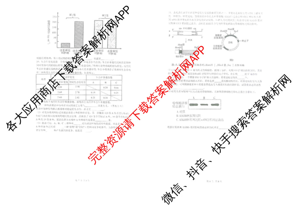 陕西省西安市2025-2026-1高三年级月考7试卷及答案汇总（含化学、历史、生物等）生物试题