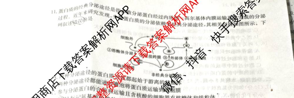 三晋卓越联盟2025~2026学年高一11月期中提升考(26-X-128A)各科答案及试卷（含物理(A卷) 物理(B卷) 英语等17份）生物试题