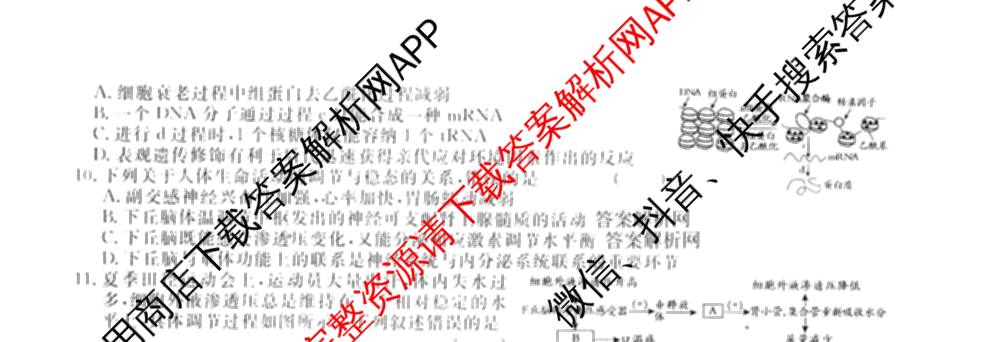 2026届高三总复名师原创模拟(七)7试卷及答案汇总（含地理(XS6J) 生物(XS6JG) 英语(新S6)等）生物试题