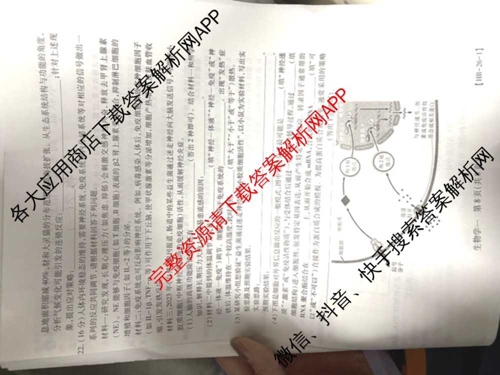 2026届智慧上进名校学术联盟高考模拟信息卷&冲刺卷&预测卷(一)1试卷及答案汇总(已更新地理(II-26-1) 物理(HN) 英语(I B-26-1)等49份)生物试题