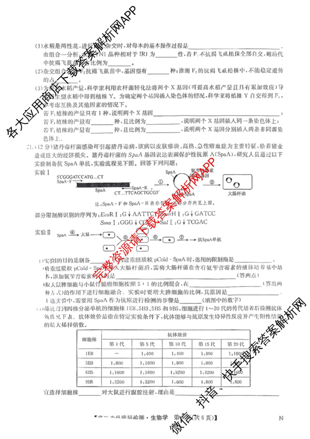 九师联盟江西省2024-2025学年高二7月质量检测（含英语 语文 历史(K)等）生物试题