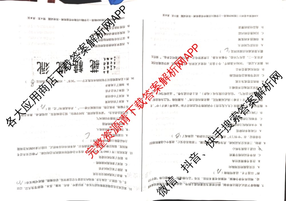 A10联盟&宿州十三校2025级高一上学期11月期中质量检测试卷及答案汇总（19科全）历史试题