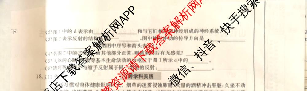 晋城市八年级上学期长标期中（含物理(R)、地理(XJB)、数学(HSD)等）生物试题