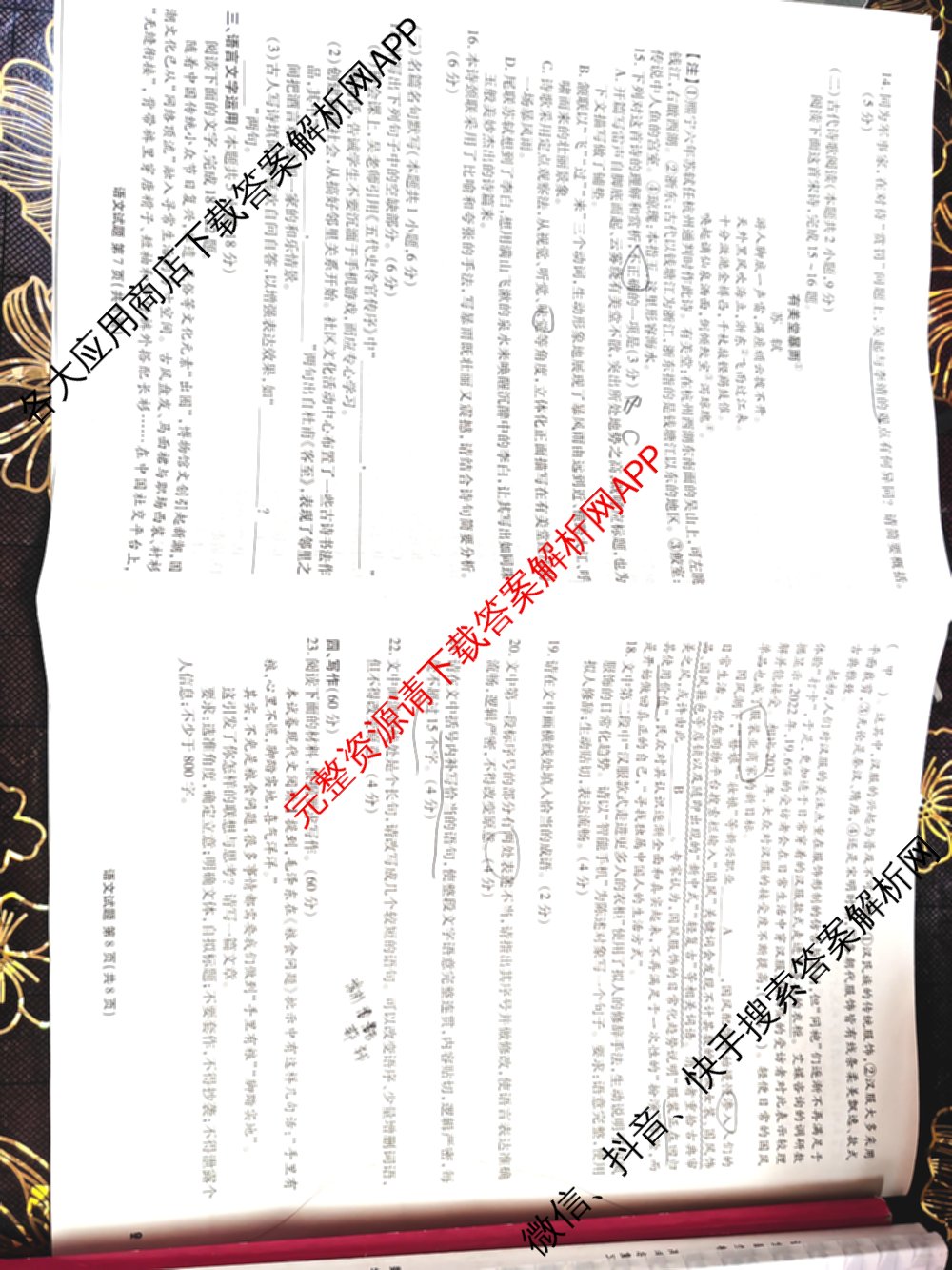 衡水金卷广东省2025届高三年级9月份联考各科答案及试卷（含语文 数学 地理等）语文试题