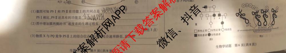 天一大联考2025-2026学年(上)湘一名校联盟高三检测(三)试卷及答案汇总(含历史 政治 语文等)生物试题 天一大联考2025-2026学年(上)湘一名校联盟高三检测(三)试卷及答案汇总(含历史 政治 语文等)生物试题