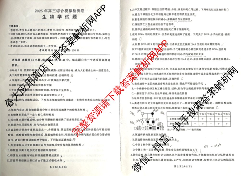 甘肃省2025年高三综合模拟检测卷(4月): 含历史、数学、语文试卷解析生物试题
