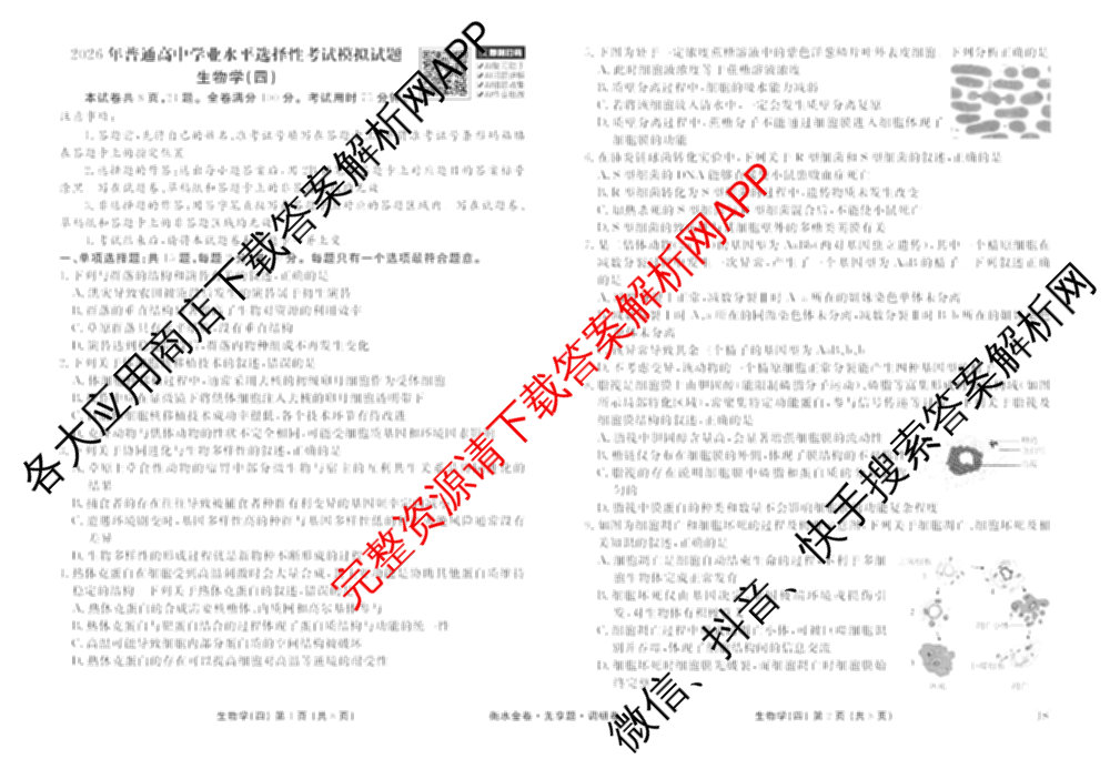 衡水金卷先享题调研卷2026年普通高等学校招生全国统一考试模拟试题(四)4(已更新生物(山东专版) 理综 历史(JS)等91份)生物试题