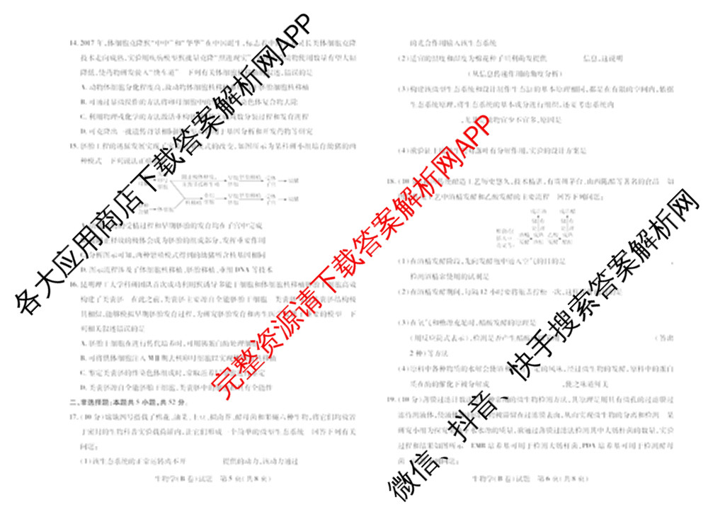 天一大联考2024-2025学年(下)高二年级期中考试各科答案及试卷(已更新数学(北师大版)、政治(B卷)、数学等13份)生物试题