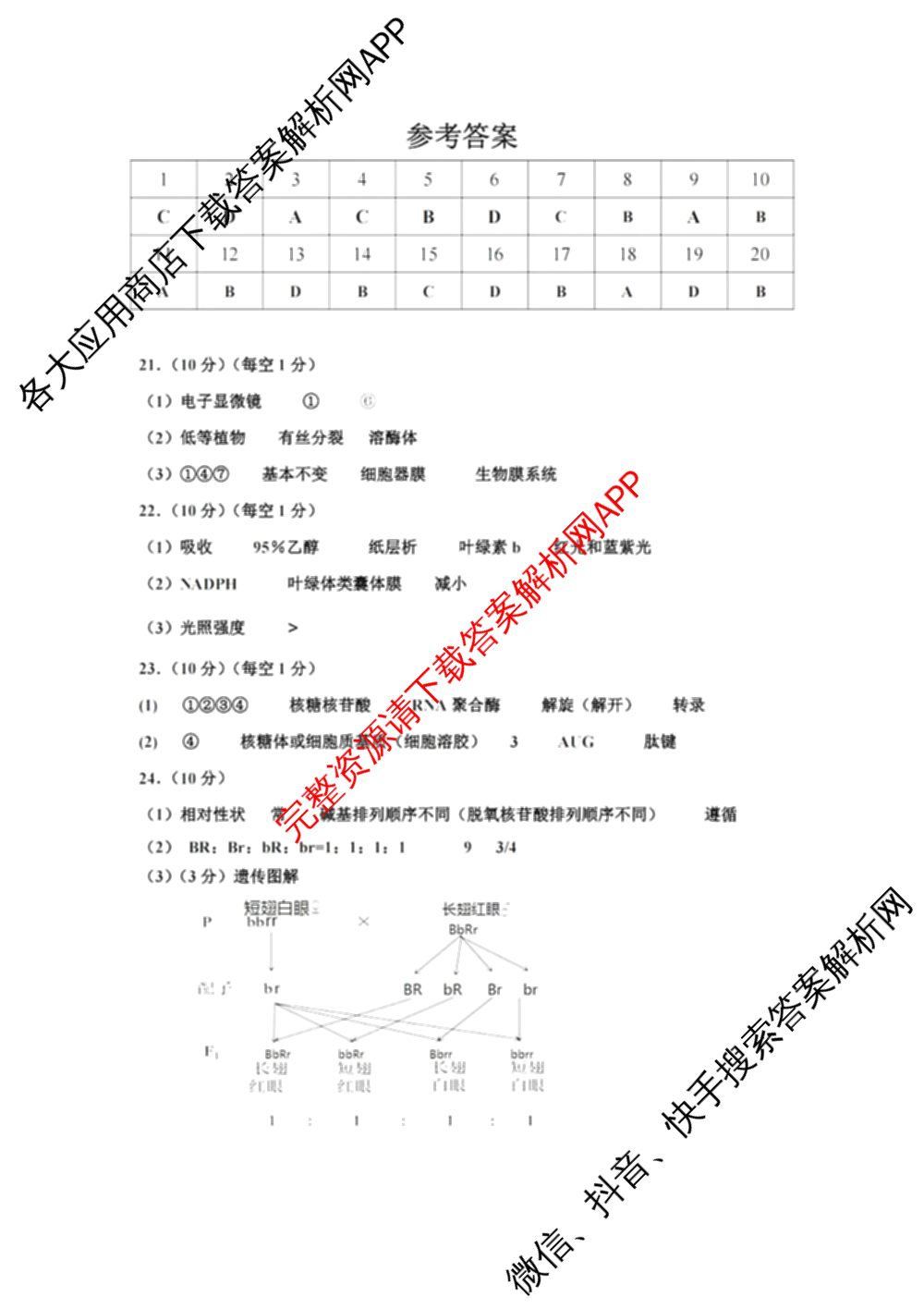 慈溪市2023学年高一第二学期期末考试（含地理 技术 数学等）生物答案