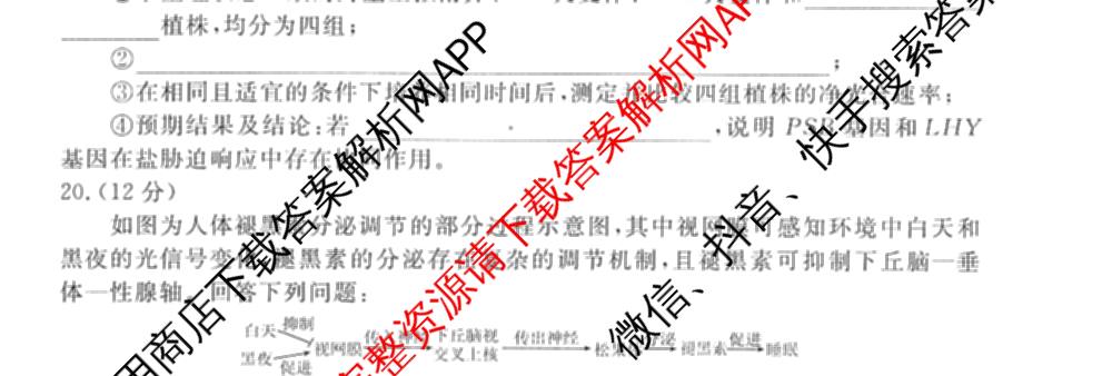 衡水金卷先享题调研卷2026年普通高等学校招生全国统一考试模拟试题(四)4(已更新生物(山东专版) 理综 历史(JS)等91份)生物试题