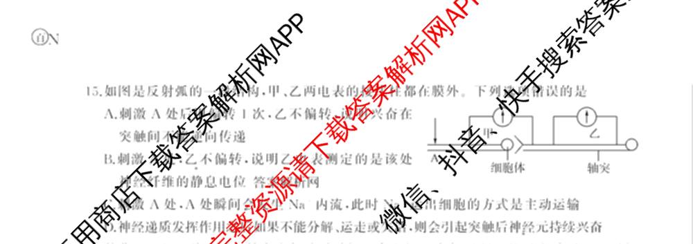 百师联盟2025届高三冲刺卷(四)4试卷及答案汇总（39科全）生物试题