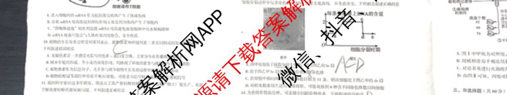 郴州市2026届高三第一次教学质量监测试卷各科答案及试卷(含物理 英语 生物等)生物试题 郴州市2026届高三第一次教学质量监测试卷各科答案及试卷(含物理 英语 生物等)生物试题