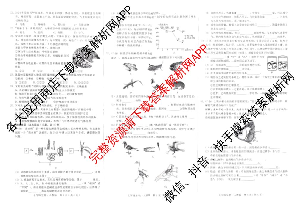 河北省2025-2026学年第一学期阶段练二七年级各科答案及试卷（含道德与法治、历史、数学(冀教版)等7份）生物试题