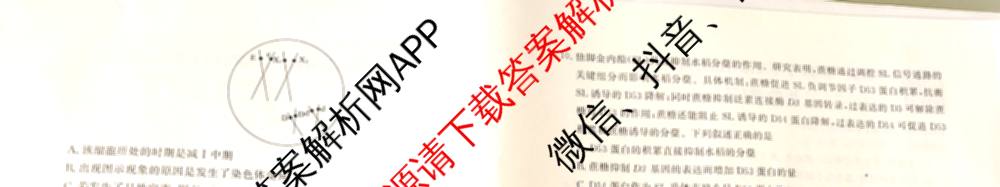 衡水真题密卷2025-2026学年度综合能力调研检测(三)3试卷及答案汇总（含数学(B) 英语(AT) 语文(B)等）生物试题