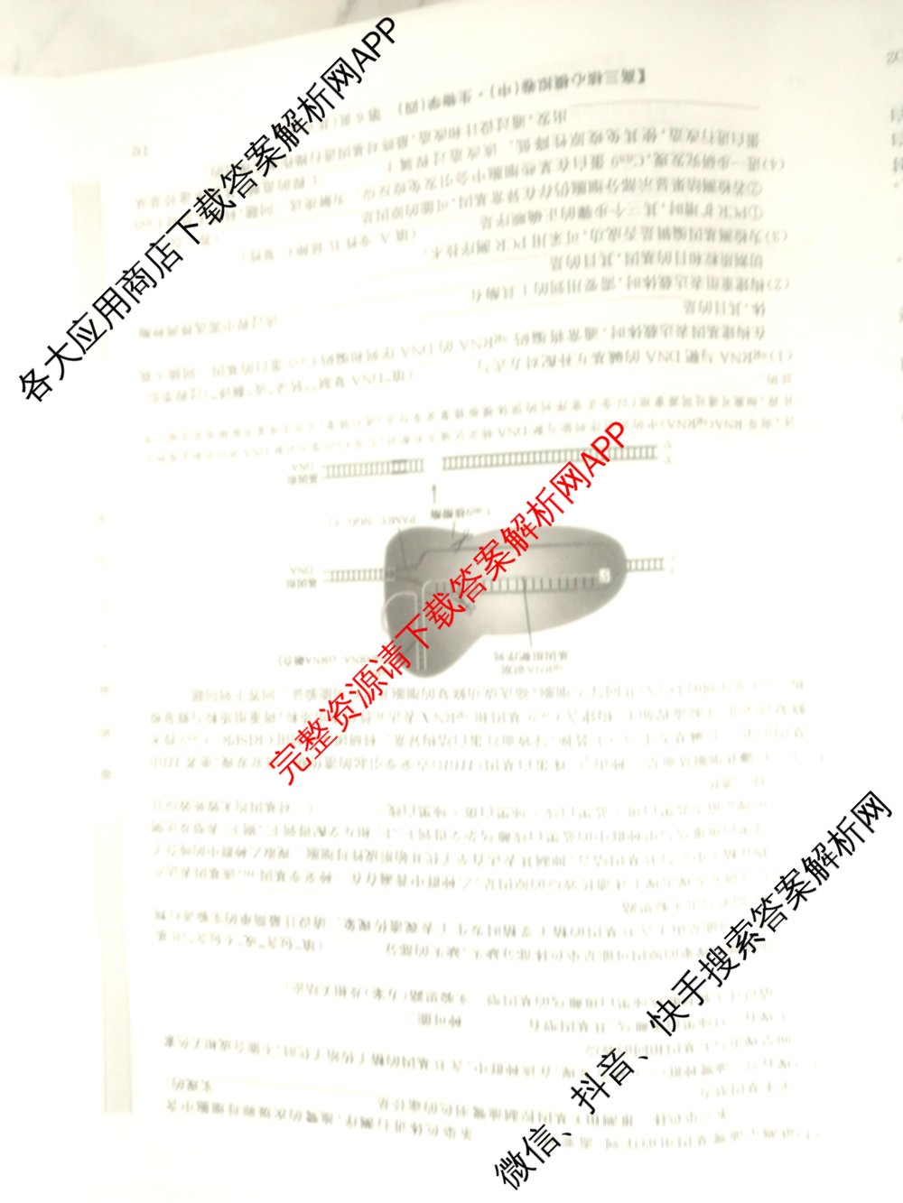 九师联盟2025~2026学年高三核心模拟卷(中)(四)（含政治(D4) 物理(HF) 语文等）生物试题