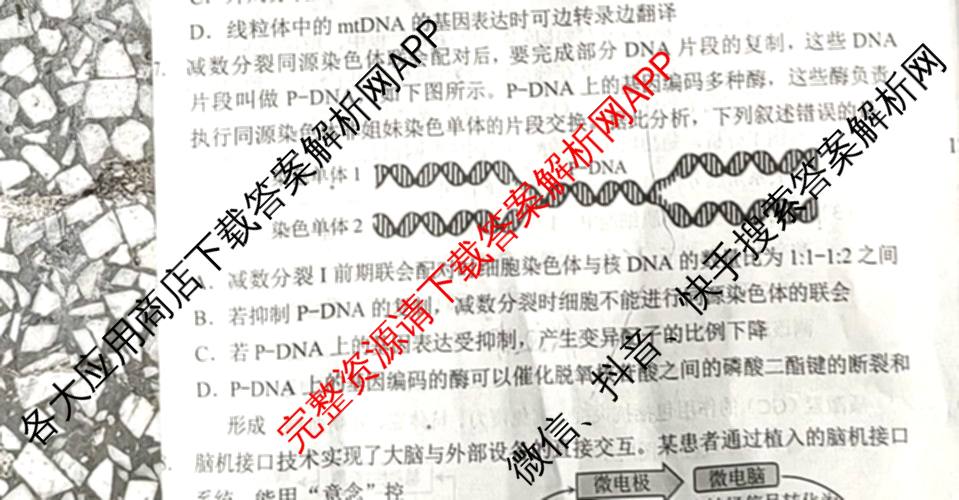 重庆康德2026届重庆市普通高等学校招生全国统一考试 高考模拟调研卷(一)试卷及答案汇总（10科全）生物试题