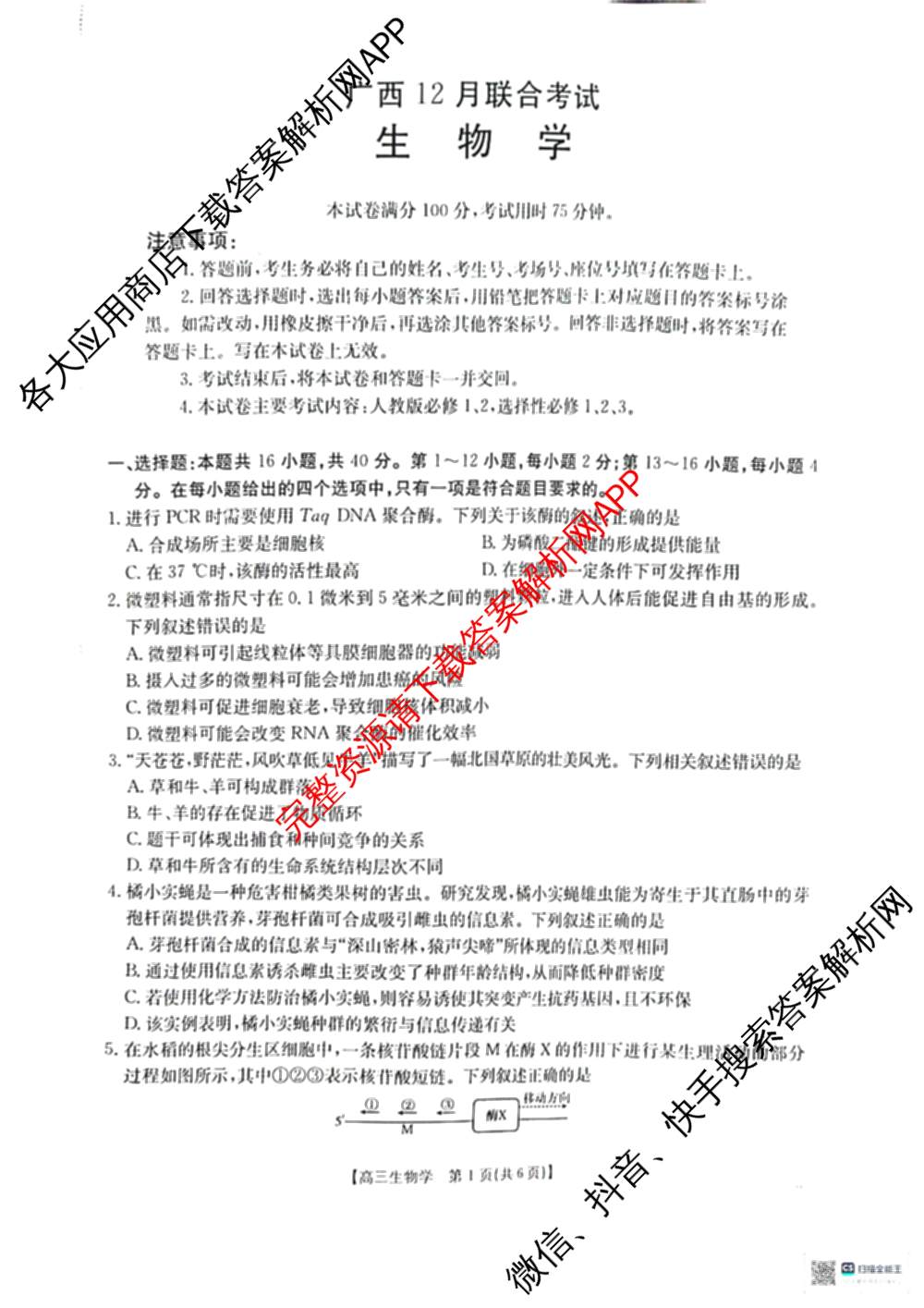 2026届广西高三年级12月联合考试(12.23)试卷及答案汇总: 含生物 数学 英语试卷解析生物试题