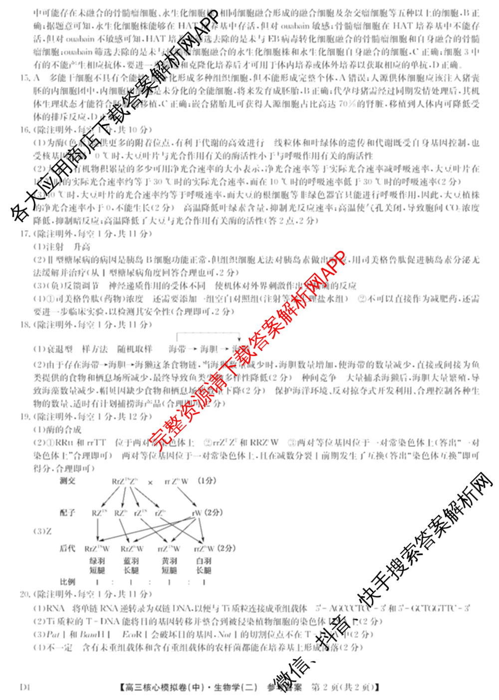 九师联盟2024~2025学年高三核心模拟卷(中)(二)2各科答案及试卷: 含政治(JX) 生物(D1) 生物(HB)试卷解析生物答案