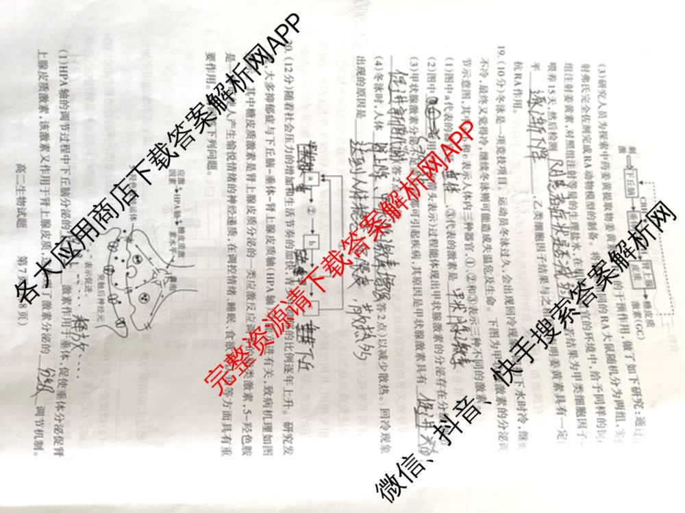 [注意是横线不是波浪线]山西省2025-2026学年第一学期高二年级期中学业诊断试卷及答案汇总（9科全）生物试题