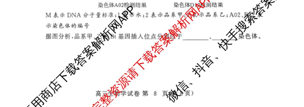 湖北省2025年秋季黄冈市部分高中高三年级期中考试试卷及答案汇总: 含数学、化学、历史试卷解析生物试题