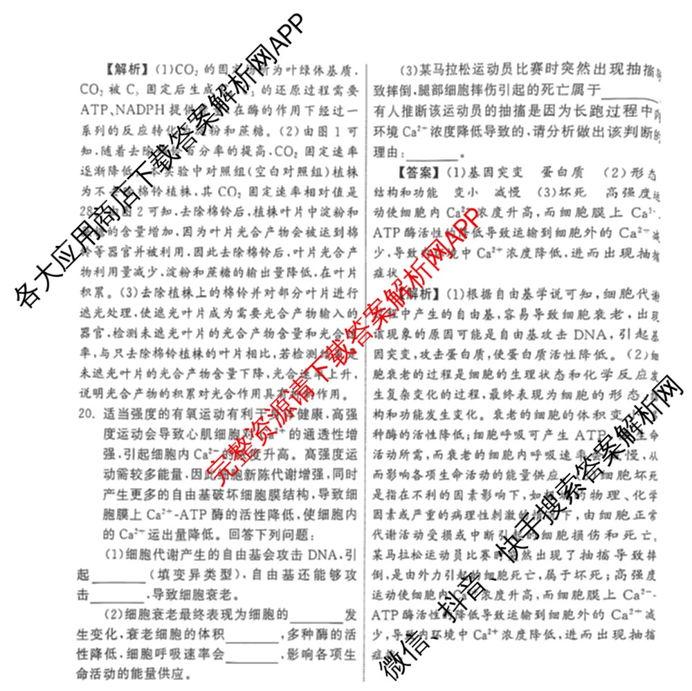 衡中同卷2024-2025学年度高三复滚动卷(一)1: 含生物(L版) 生物(X版) 语文(A)试卷解析生物答案 衡中同卷2024-2025学年度高三复滚动卷(一)1: 含生物(L版) 生物(X版) 语文(A)试卷解析生物答案