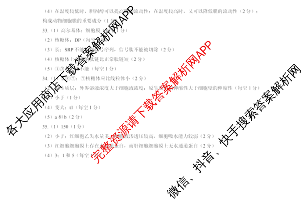 重庆一中高2028届高一上期期中考试（含地理、数学、语文等9份）生物答案