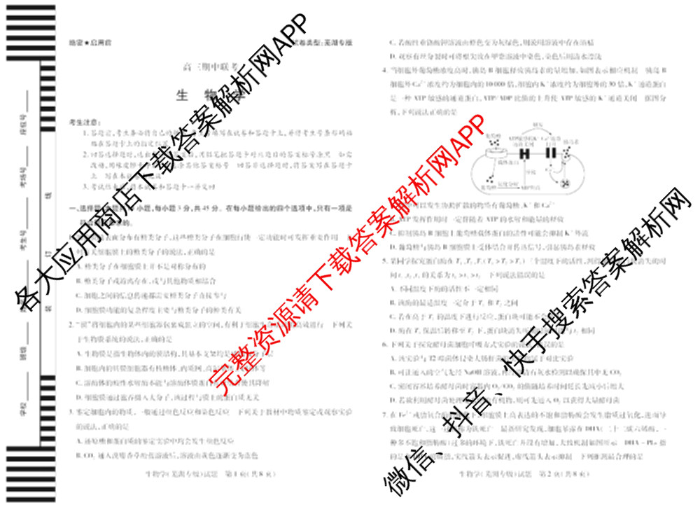 天一大联考安徽2026届高三期中联考(11月)(已更新物理(合肥专版)、历史(宿州专版)、政治等16份)生物试题