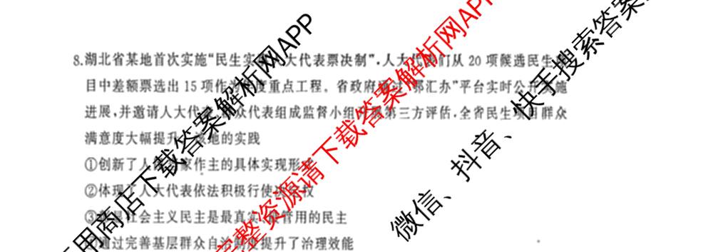 湖北省2025年秋季黄冈市部分高中高三年级期中考试试卷及答案汇总: 含数学、化学、历史试卷解析政治试题