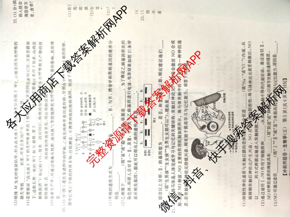 2026普通高等学校招生全国统一考试冲刺押题卷(五)5（含生物(HBJ)、生物(AC)、历史等15份）生物试题