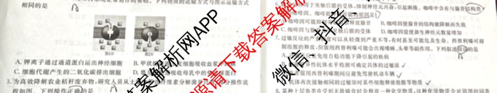 衡水金卷广东省2025届高三年级9月份联考各科答案及试卷（含语文 数学 地理等）生物试题