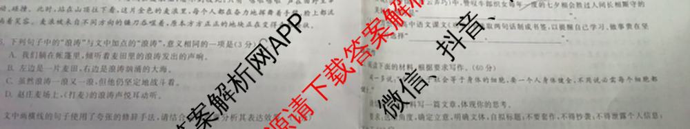 衡中同卷2024-2025学年度高三复滚动卷(一)1: 含生物(L版) 生物(X版) 语文(A)试卷解析语文试题 衡中同卷2024-2025学年度高三复滚动卷(一)1: 含生物(L版) 生物(X版) 语文(A)试卷解析语文试题