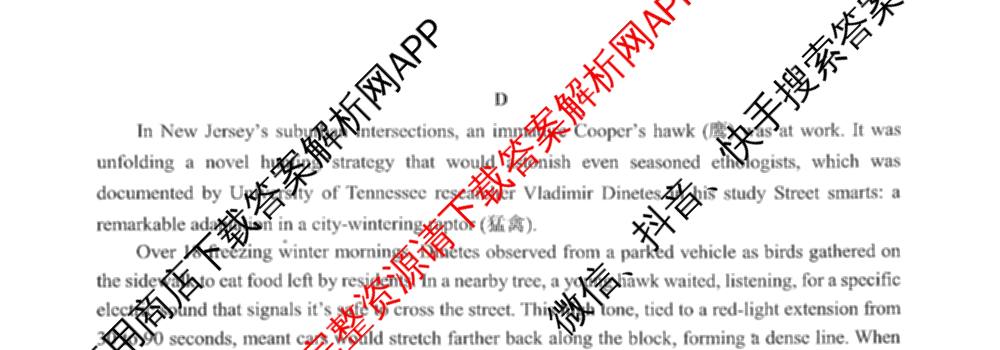 重庆市西南大学附属中学高2026届3月月考/定时检测（9科全）英语试题