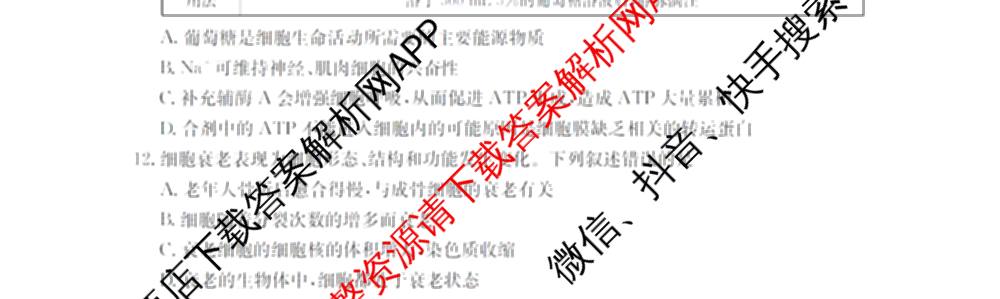 辽宁省2026届高三10月考试(10.27)各科答案及试卷(9科全)生物试题 辽宁省2026届高三10月考试(10.27)各科答案及试卷(9科全)生物试题